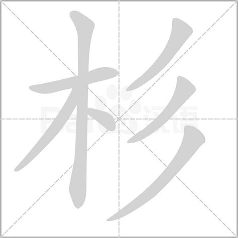 杉字